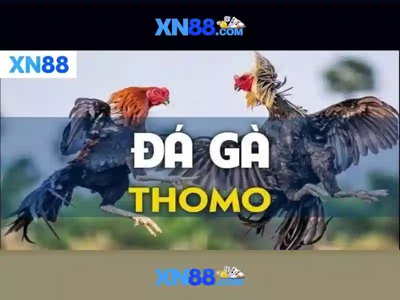 💎kèo nhà cái mỹ và iran💎