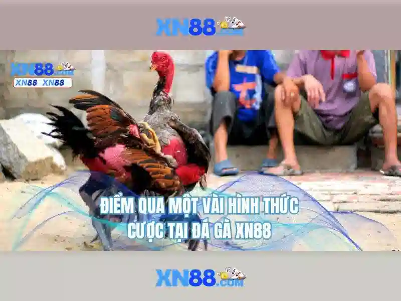 💎www 888slot com cars💎