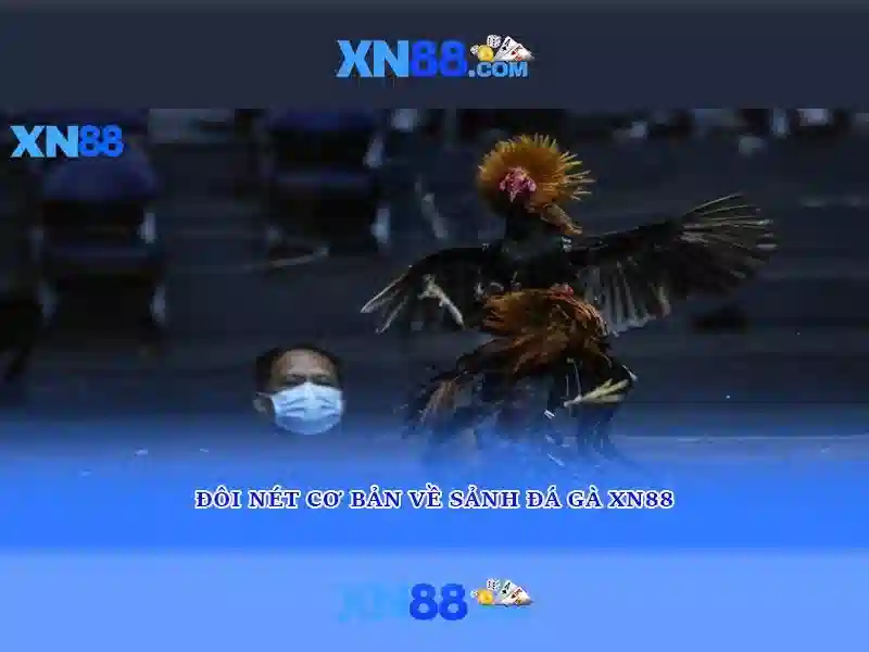 💎xn88 slot manager💎