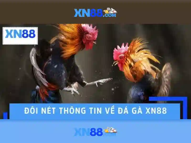 💎top 10+ trang cá cược bóng đá uy tín💎