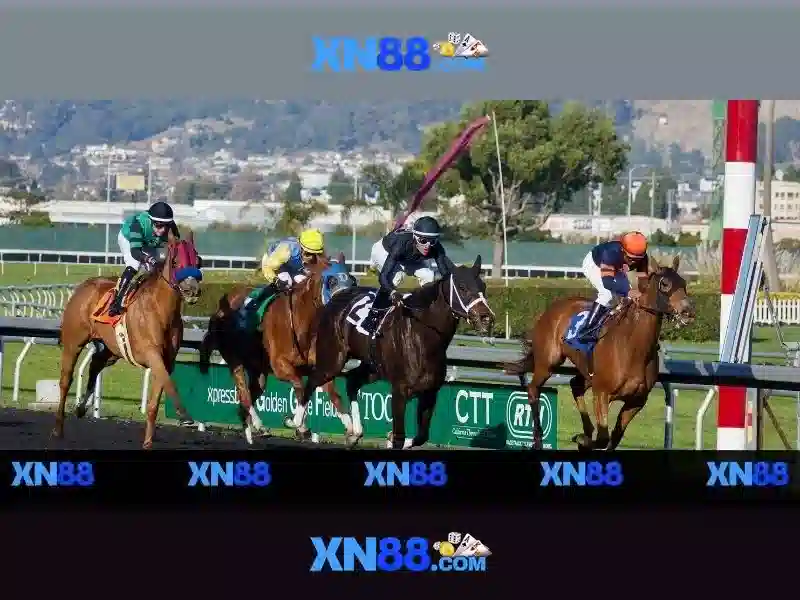 💎free 120 hb88💎