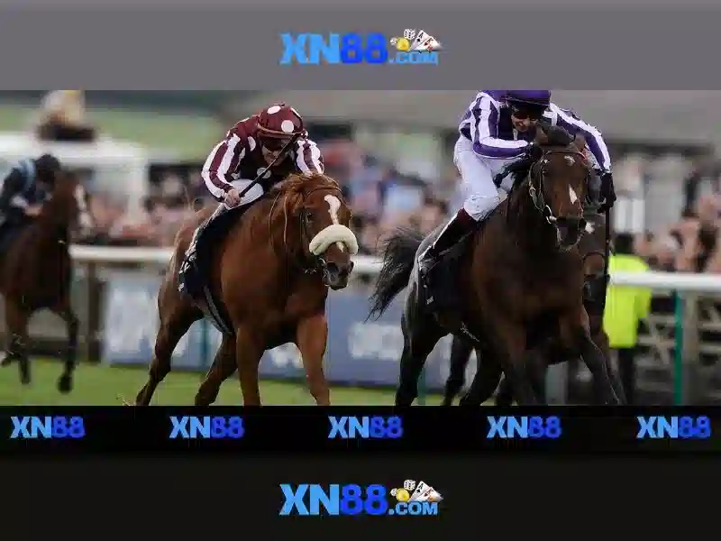 💎xem kèo cá cược hôm nay💎