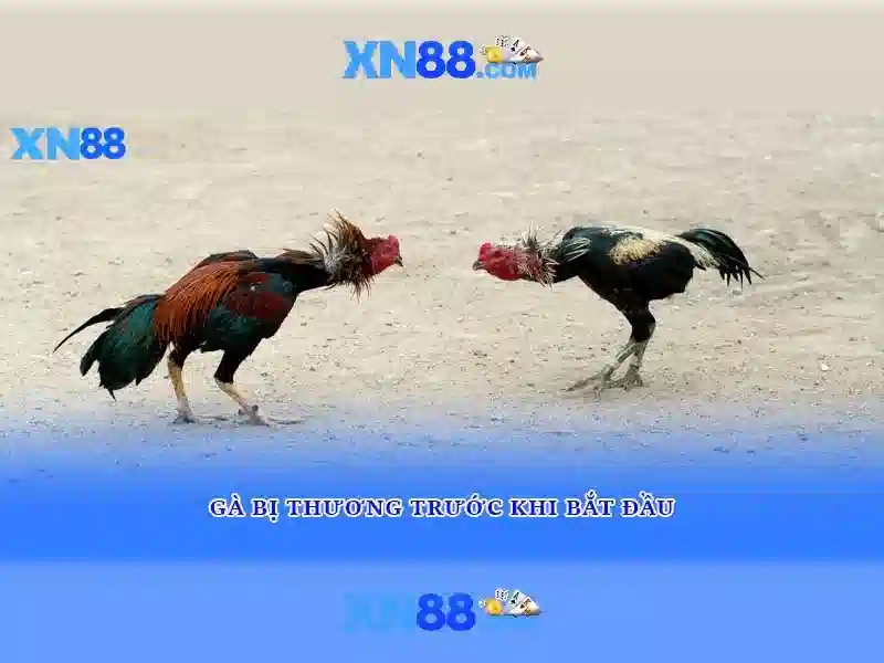 💎ý vs bỉ kèo nhà cái💎