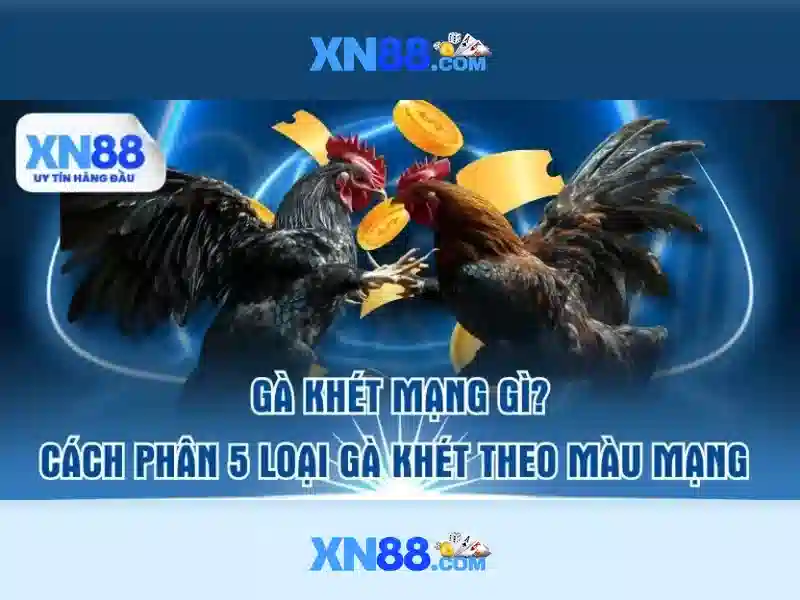 💎tỷ lệ kèo nhà cái 5 tekmira💎