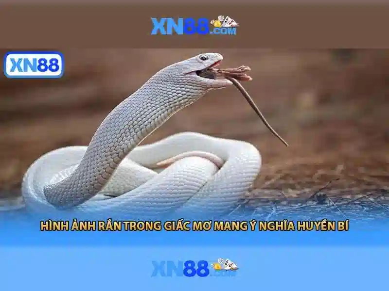 💎cá cược đua ngựa ở nhật💎
