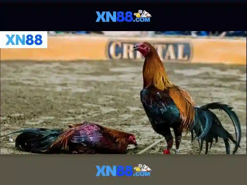 💎top nha cai uy tin pro💎