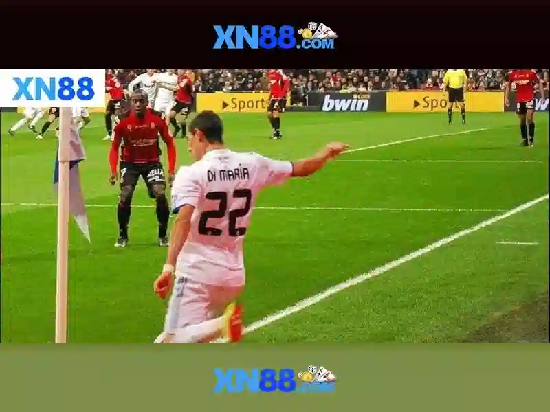 💎xn88 steel llp💎