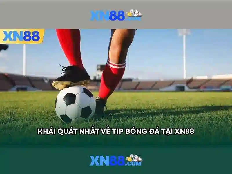 💎nhận định kèo nha cái💎