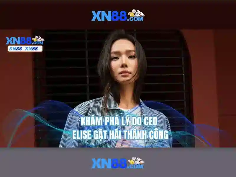 💎nhà xe quý mến lào cai💎