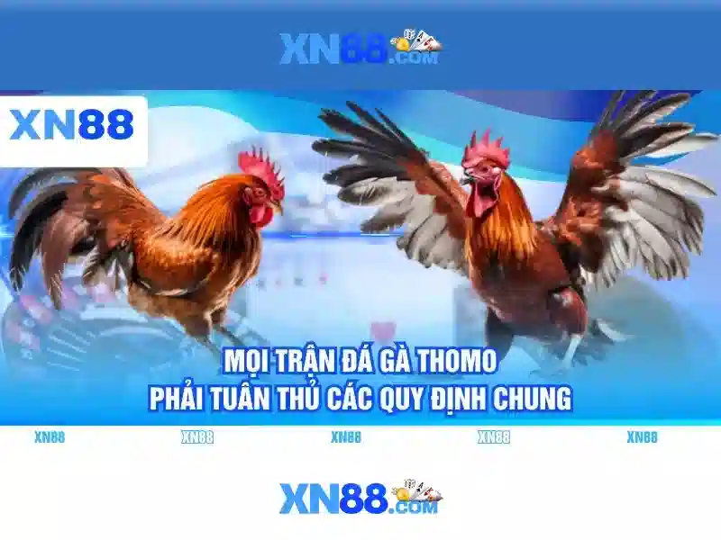 💎kèo kèo nhà cái hôm nay💎