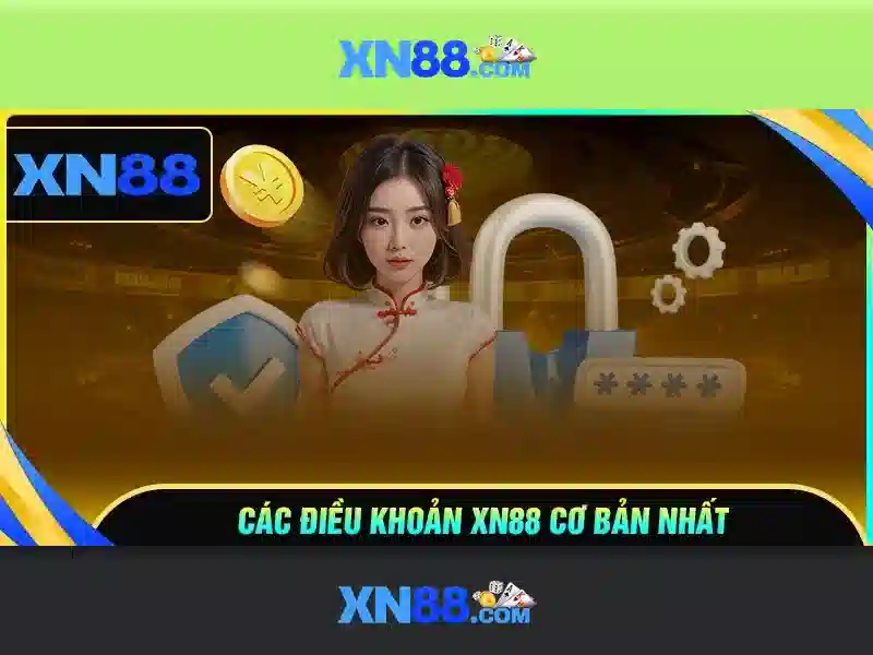 💎nhà cái ibet888💎