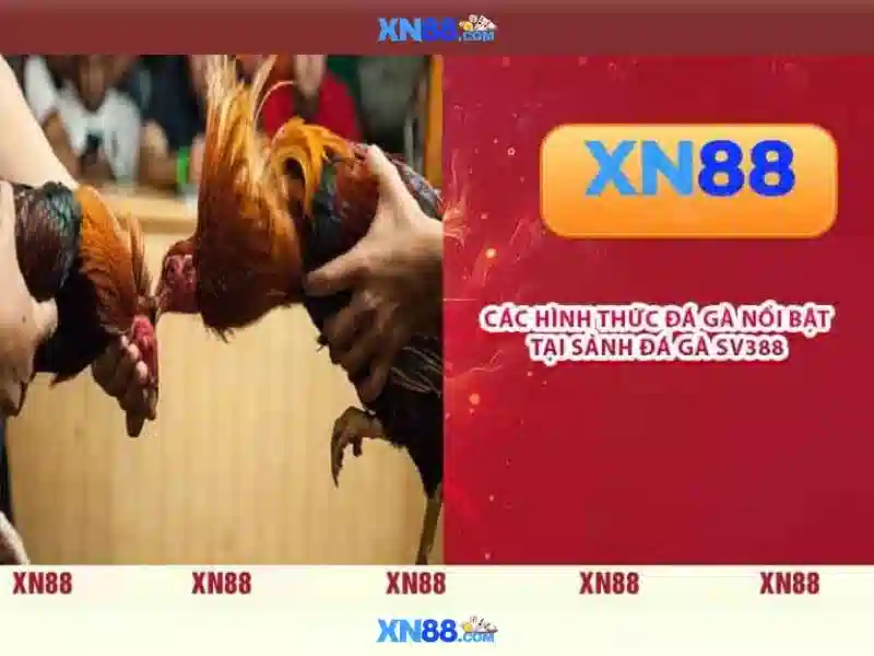 💎slot che pagano di più su 888💎 - tiger slot 888 - thai slot 888 vip