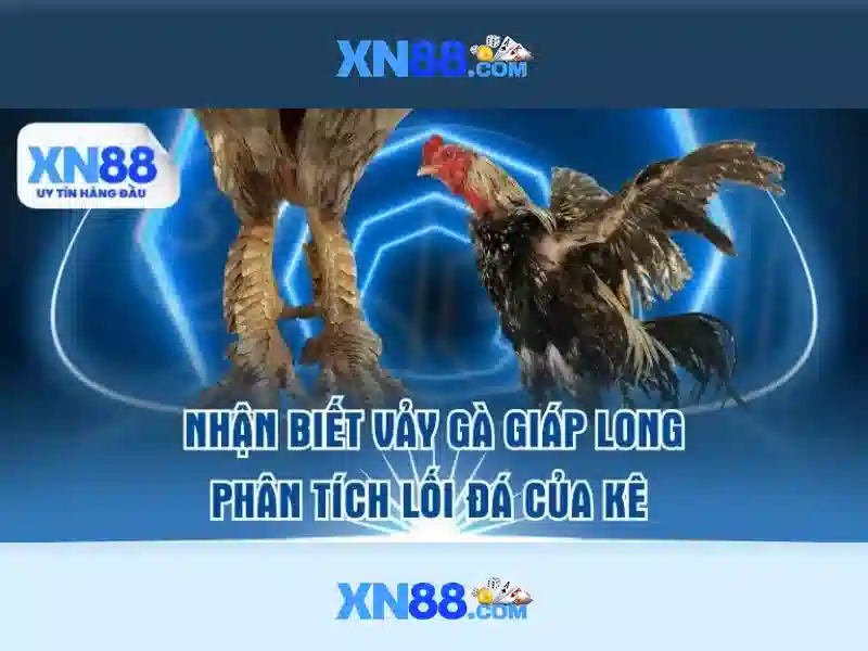 💎trang chủ nhà cái cá cược w88💎
