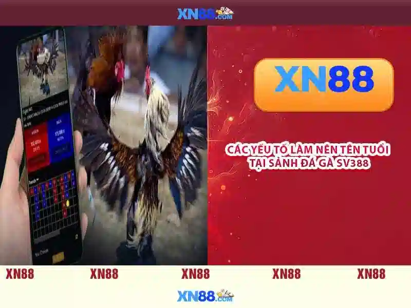 💎cá cược bóng đá phản tỷ số💎