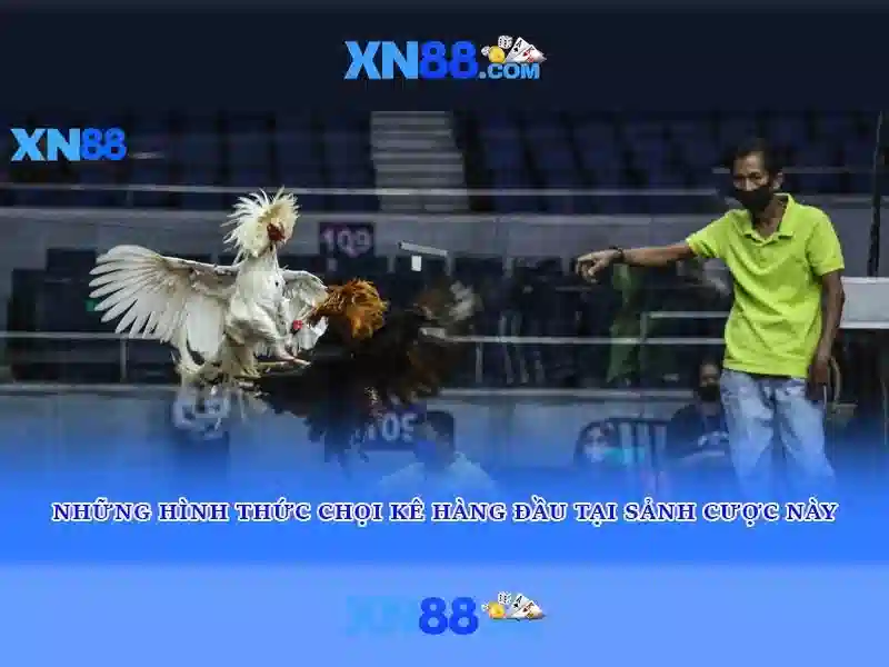 💎nha cai uy tin taxi💎