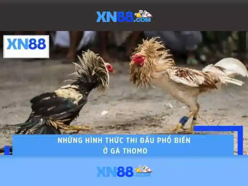  XN88 nổ hũ - XN88