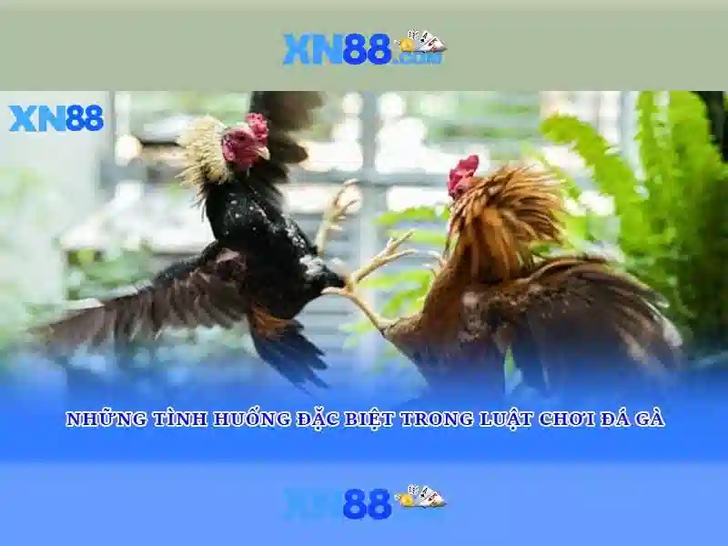 💎nhà cái uy tính nctb💎