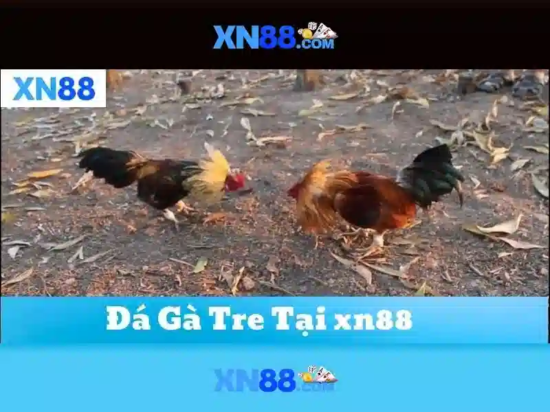 💎bd tỷ lệ kèo nhà cái💎