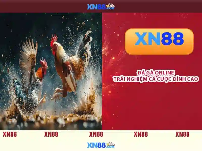 💎kinh nghiệm cải tạo nhà cũ💎
