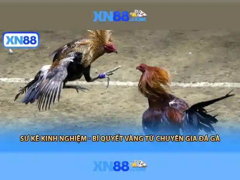 💎ca khúc 60 năm cuộc đời💎