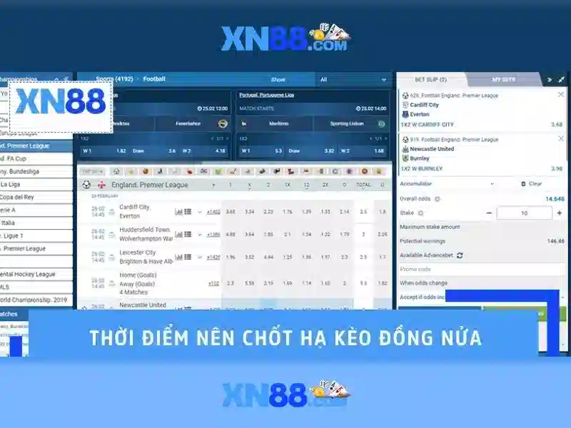 💎slot wallet link💎