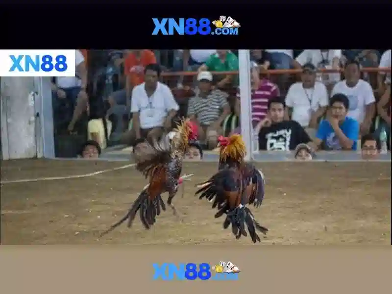 💎xn88 slot leeftijd💎