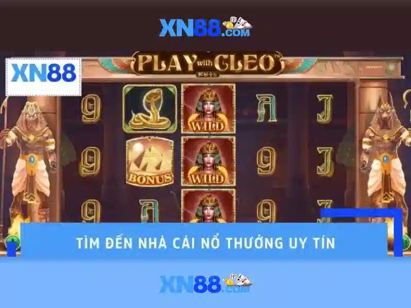 💎nhà cái 8live💎 - nhà cái cá cược bóng đá 8live - nhà cái 8live