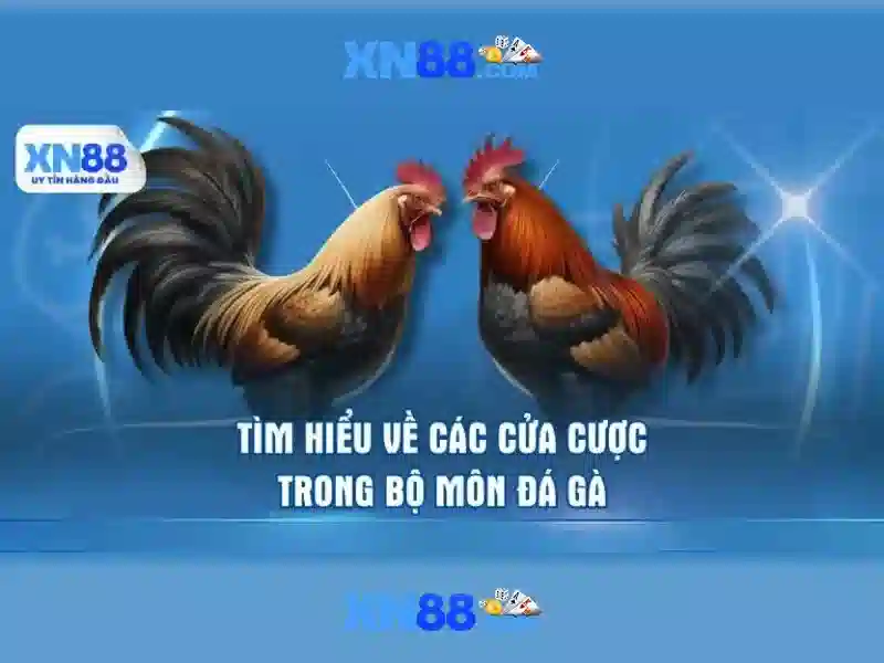 💎nhà cái đá banh💎