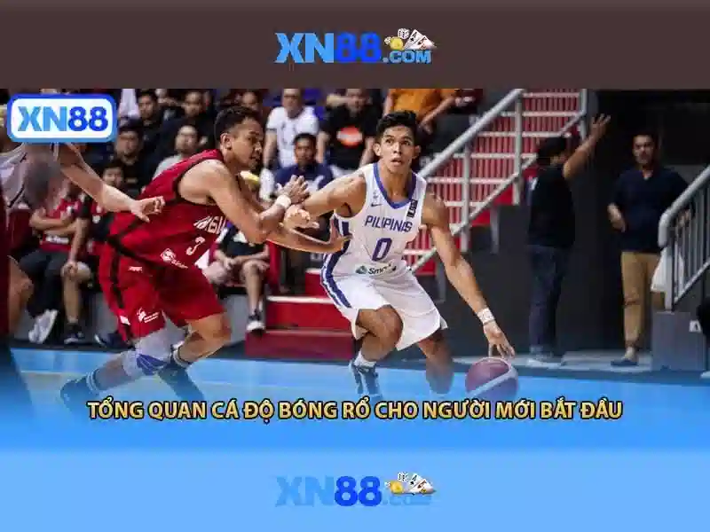  công cụ tìm kiếm - XN88