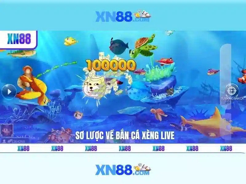 💎nhà cái online vote💎