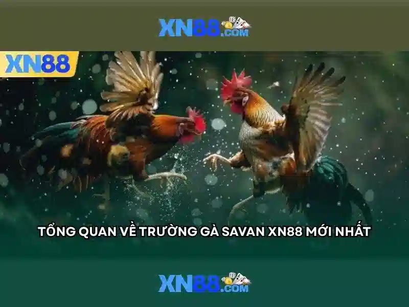 XN88 ✅ Trang Chủ XN88.COM Tặng Ưu Đãi 539K Trong Năm 2026 - XN88