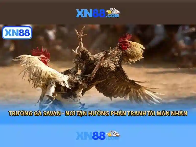 💎xin88 nhà cái💎