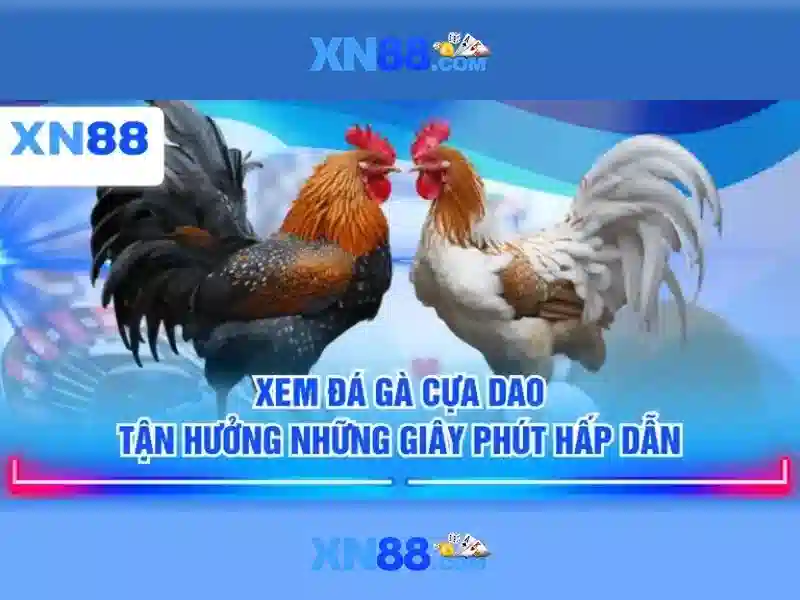 💎nha cái vn88💎