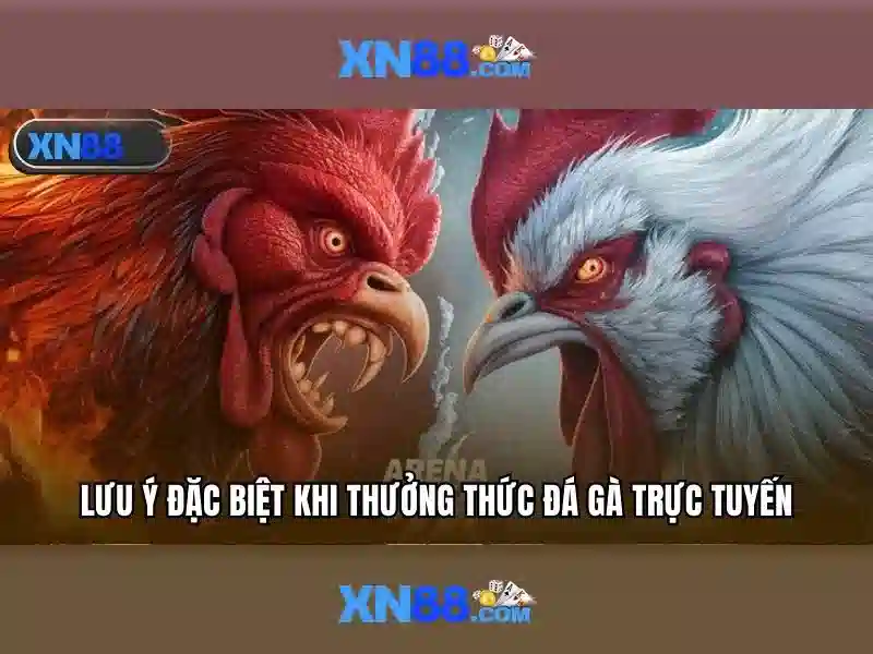 💎trang nhà cái 88💎
