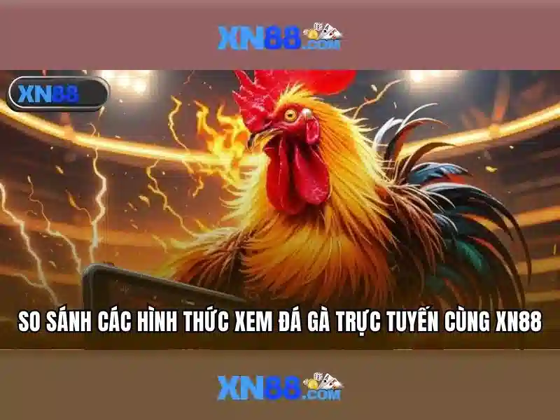 💎nhà cái uy tinh io💎