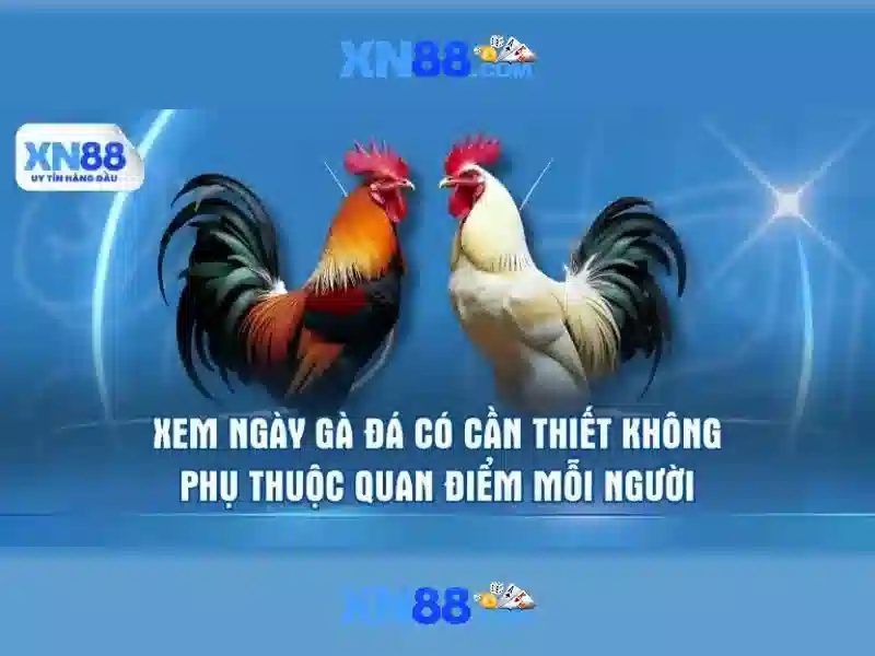 💎fachai hb88 download apk💎