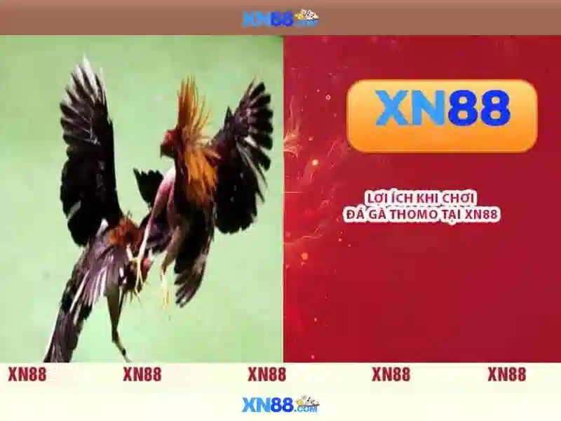 💎keo nha cai tieng viet💎