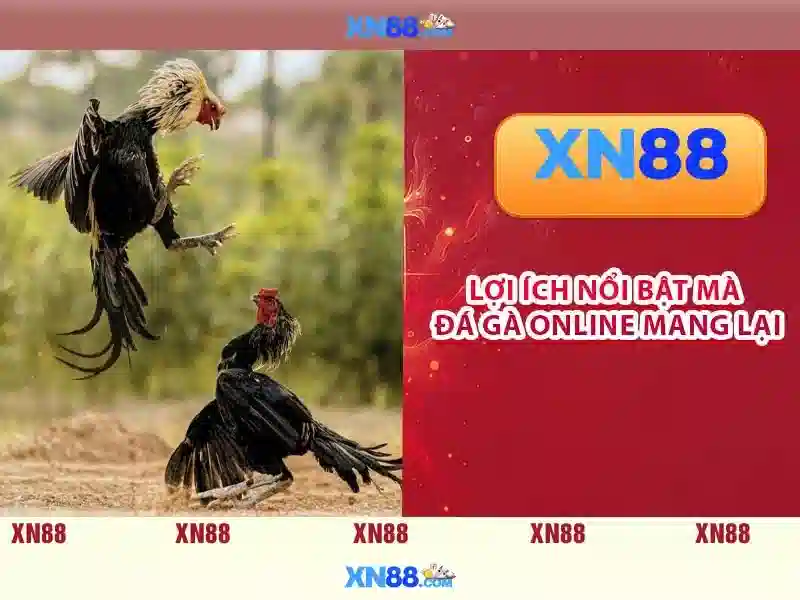 💎uk88 link express💎 - tại app uk88 - uk88 thái bình