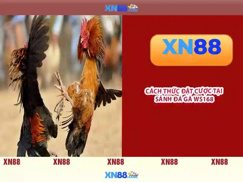 💎giấy bạc lò vi sóng💎
