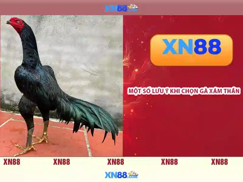 💎ahha4d slot login💎