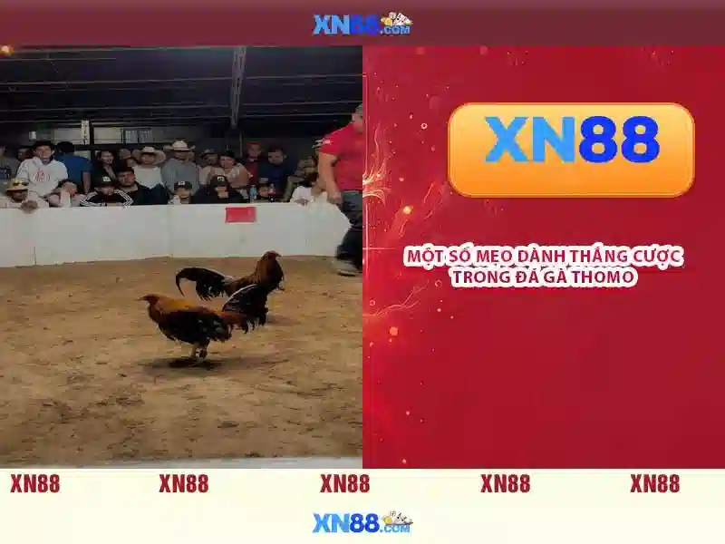 💎rút tiền sin88💎 - sin88 link vào - sin88