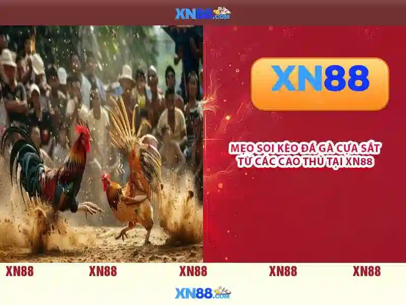  tải app XN88 - XN88