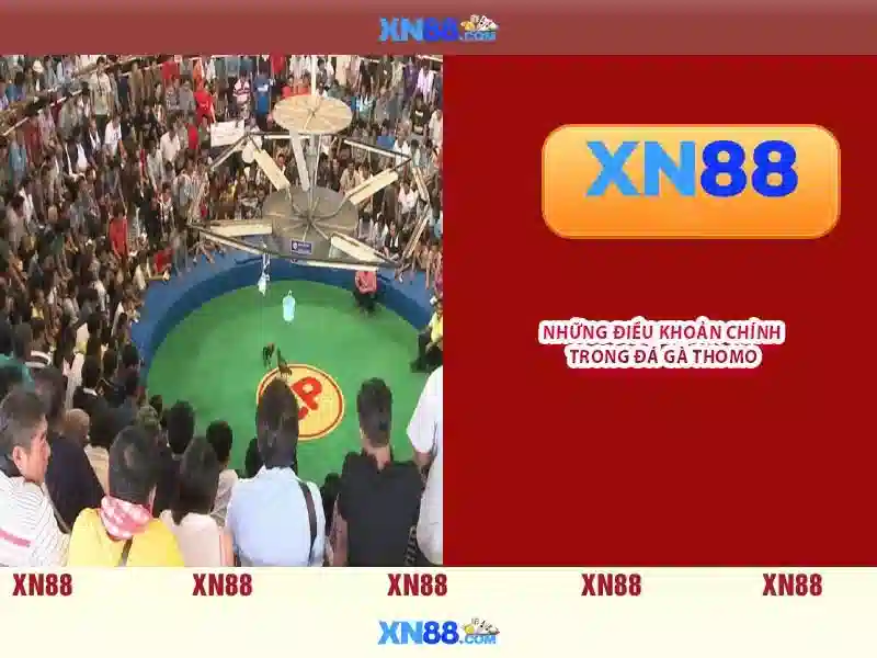 💎hb88 hb88okvip💎 - hb88 hb88 - hb88 clup