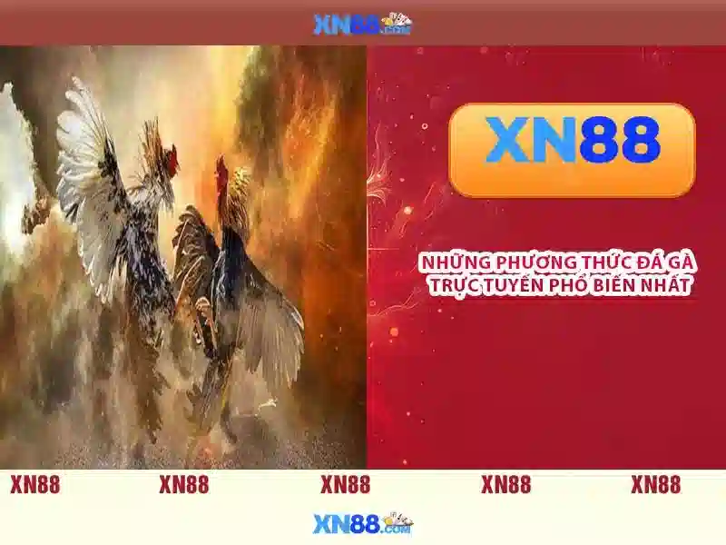 💎live casino 888💎