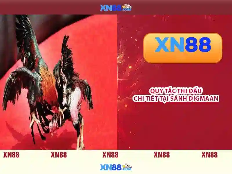  an toàn tài khoản - XN88