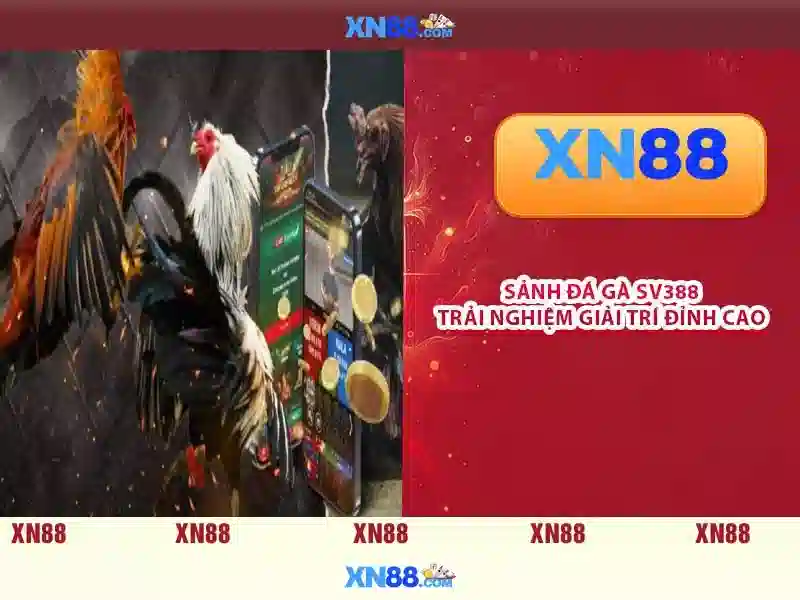 💎nhà cái uy tín topnhâci💎