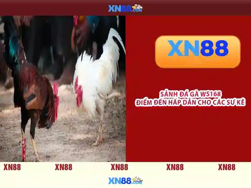 💎fabet boát💎 - fabet ive - mã tiền thưởng fabet