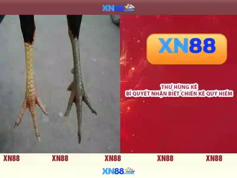 💎888 slot game💎 - butterfly 888 slot - aw 888 slot