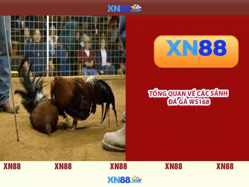 💎sin88 link vào sin88💎 - cách nạp sin88 - sin88 lấy mã xác minh