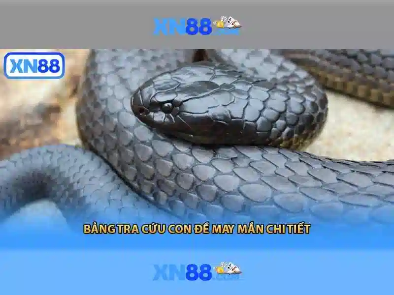 💎which slot machine pays the best💎